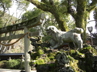 神社の矛盾