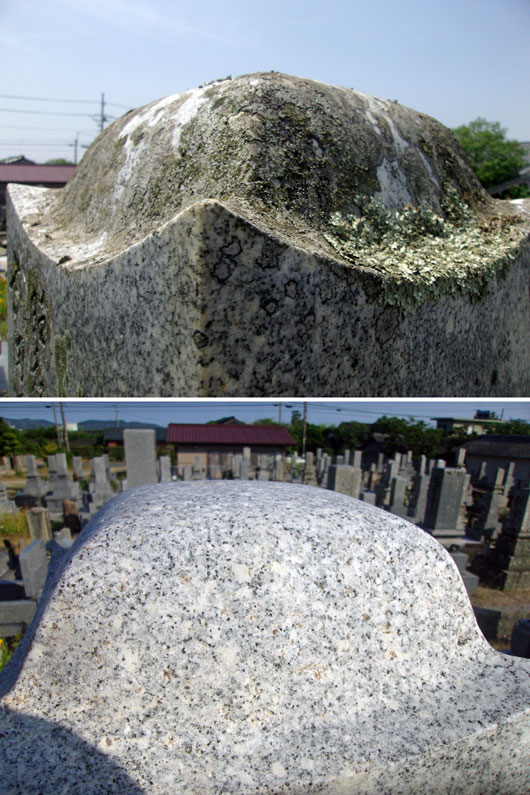 お墓の苔落とし