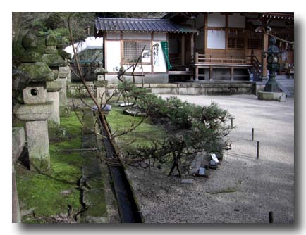 白山比咩神社-しらやまひめ