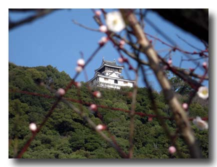 岩国城-横山城-