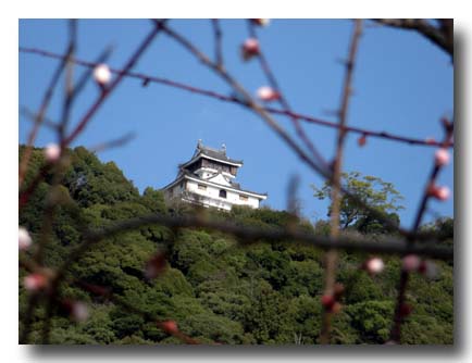 岩国城-横山城-