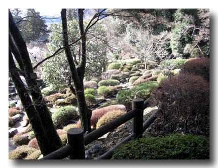 城山花菖蒲園-ハナショウブ