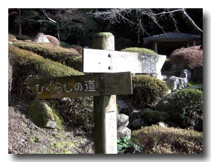 城山花菖蒲園-ハナショウブ