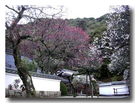 洞泉寺-とうせんじ